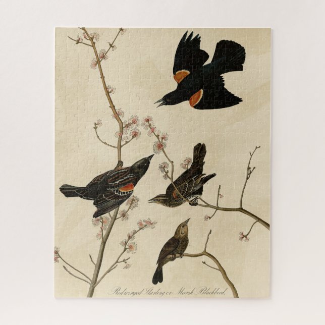 Red winged Blackbird - Audubon's Birds of America Jigsaw Puzzle (Vertical)
