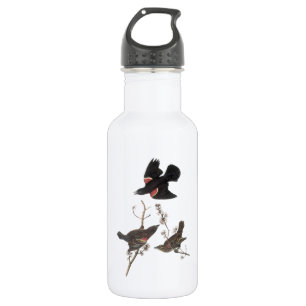 Red-winged Blackbird by Audubon 532 Ml Water Bottle