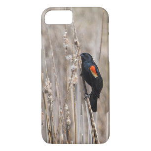 Red Winged Blackbird Case-Mate iPhone Case