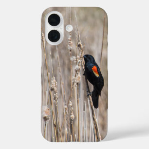 Red-winged Blackbird iPhone 16 Case