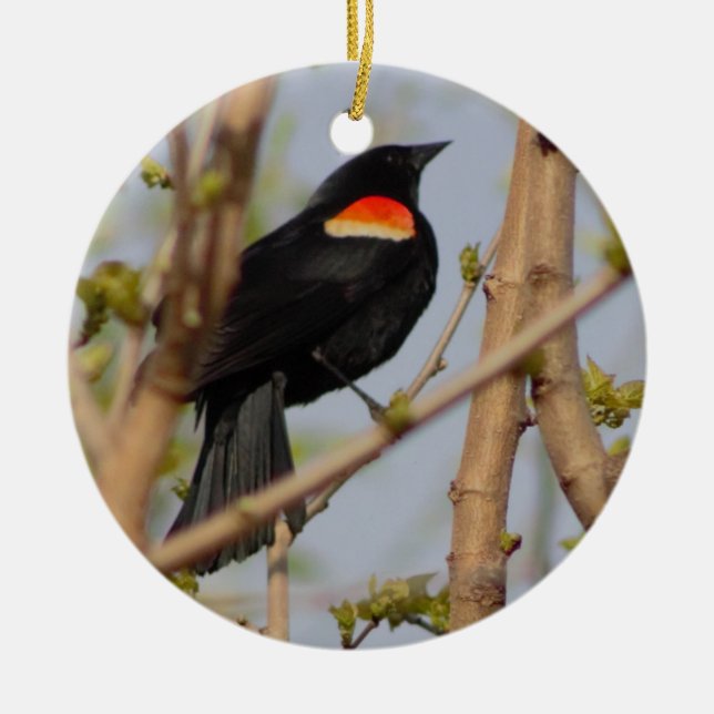 Red-winged Blackbird Ceramic Ornament (Front)