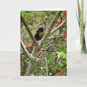 Red-winged Blackbird & Floral Card