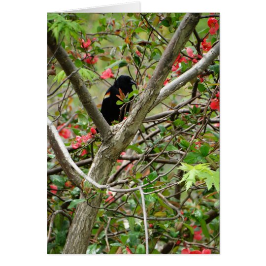 Red-winged Blackbird & Floral Card