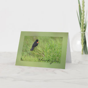 Red Winged Blackbird Greeting Card