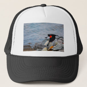 Red Winged Blackbird - hat