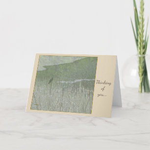Red Winged Blackbird in Field of Cattails Card