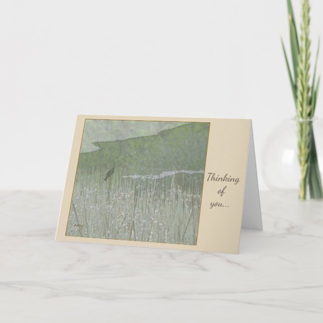 Red Winged Blackbird in Field of Cattails Card (Front)