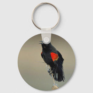 Red-winged Blackbird Keychain