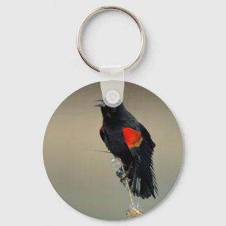 Red-winged Blackbird Keychain