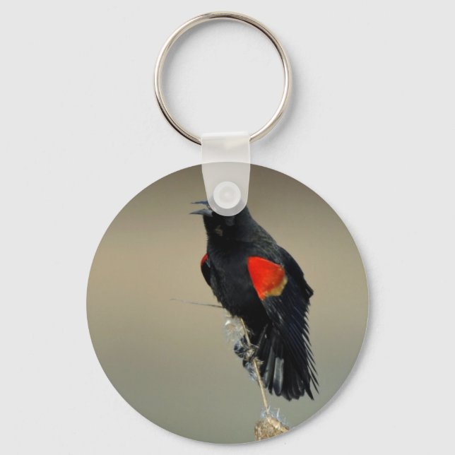 Red-winged Blackbird Keychain (Front)