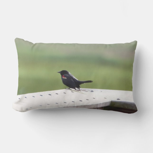 Red-winged Blackbird Lumbar Pillow (Front)