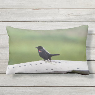 Red-winged Blackbird Lumbar Pillow