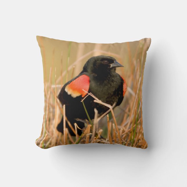 Red-winged Blackbird male singing Throw Pillow (Front)