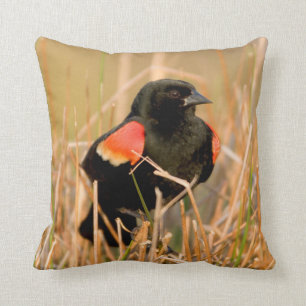 Red-winged Blackbird male singing Throw Pillow