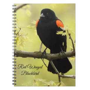 Red Winged Blackbird Notebook