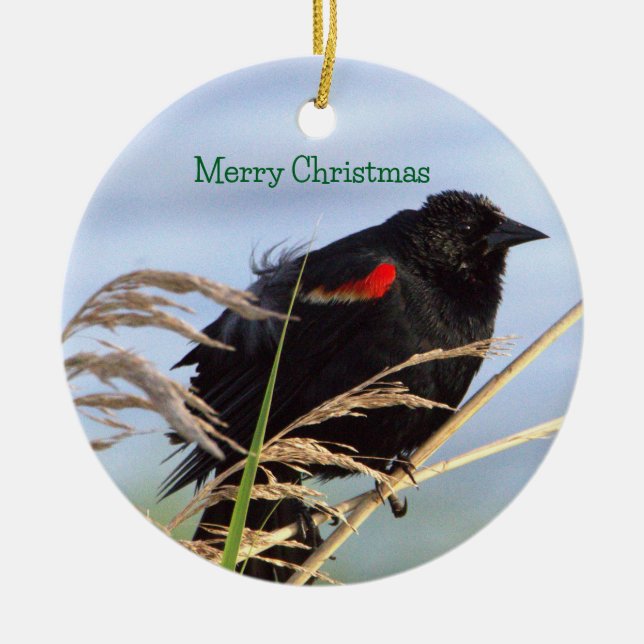 Red-winged Blackbird Ornament  (Front)
