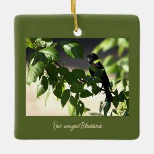 Red-winged Blackbird Ornament