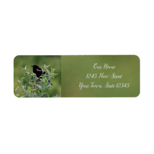 Red-winged Blackbird Return Address Label