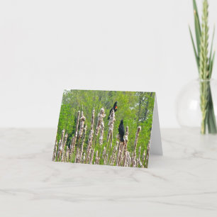 Red-Winged Blackbirds on Cattails Note Card
