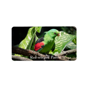 Red-winged Parrot on Tree Limb Label
