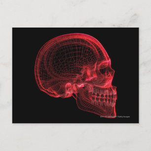 Red wireframe of a skull postcard