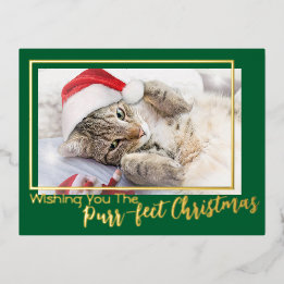Red Wishing You The Purr-fect Christmas 2 Photo Foil Holiday Postcard