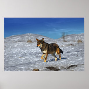 Red Wolf Winter February 2011 Poster
