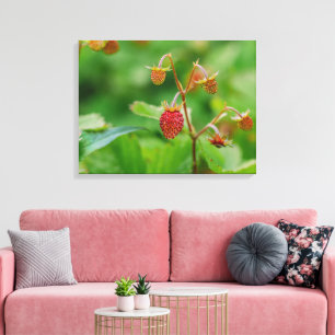 Red Woodland Strawberry Growing In A Garden Photo Canvas Print