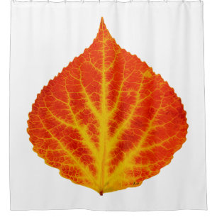 Red & Yellow Aspen Leaf #10