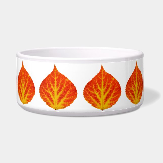 Red & Yellow Aspen Leaf #10 (Front)