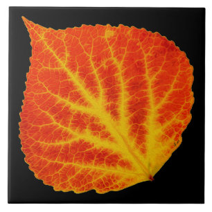 Red & Yellow Aspen Leaf #10 Tile