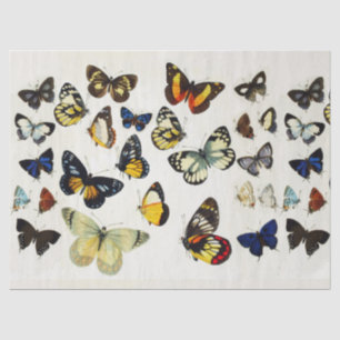 RED YELLOW BLUE WHITE BUTTERFLIES Beauty Nature Tissue Paper
