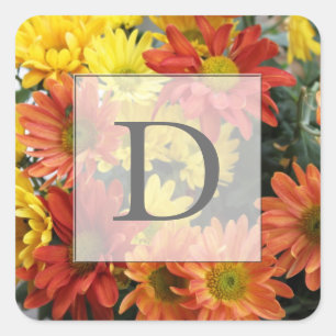 Red, yellow, orange colourful autumn daisy flowers square sticker