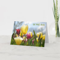 Red, Yellow & Pink Tulips in the Sun Get Well Soon