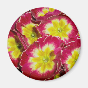 Red Yellow Primrose Magnet