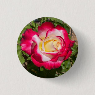 Red & Yellow Rose Button