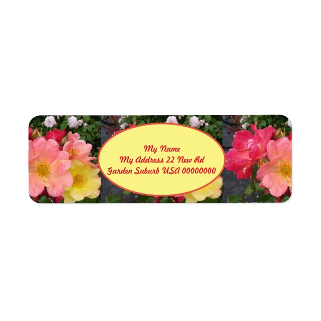 Red Yellow Rose Flower Floral Garden  (Front)