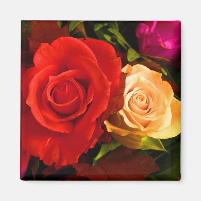 Red Yellow Rose Magnet - Customizable (Front)