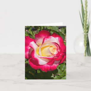 Red & Yellow Rose Personalized Greeting Card
