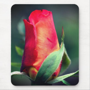 Red Yellow Rosebud Flower Mouse Pad