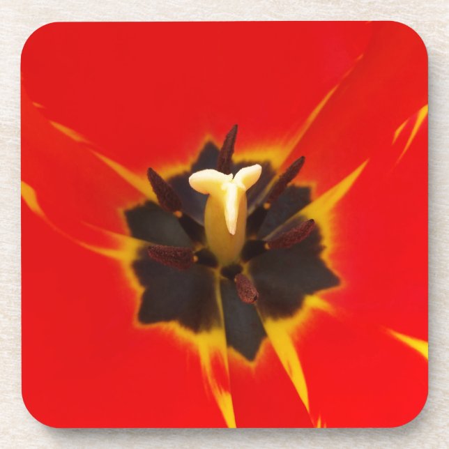 red yellow tulip coaster (Front)