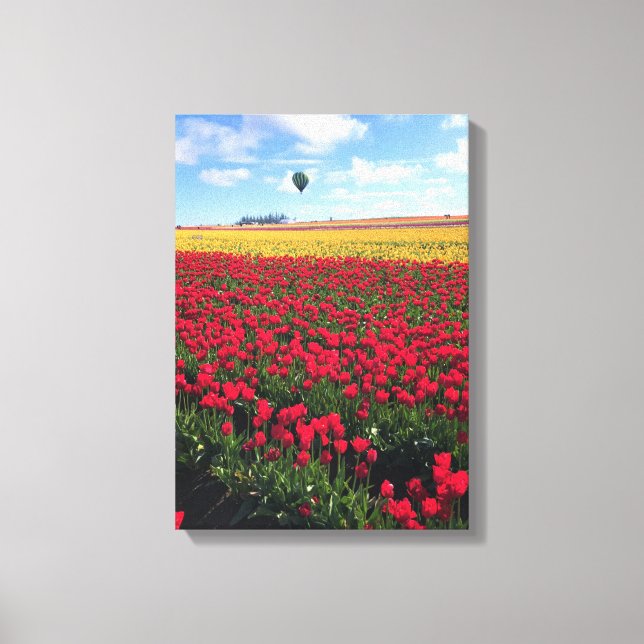 Red & Yellow Tulip Field with Hot Air Balloon Canvas Print (Front)