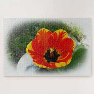 Red yellow tulip jigsaw puzzle