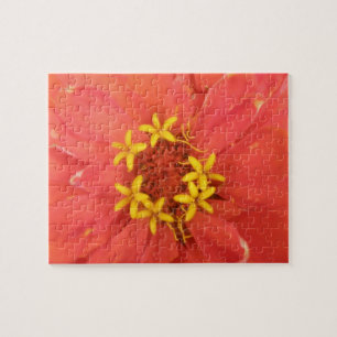 Red Zinnia Macro Puzzle
