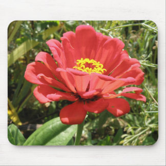 Red Zinnia Mousepad