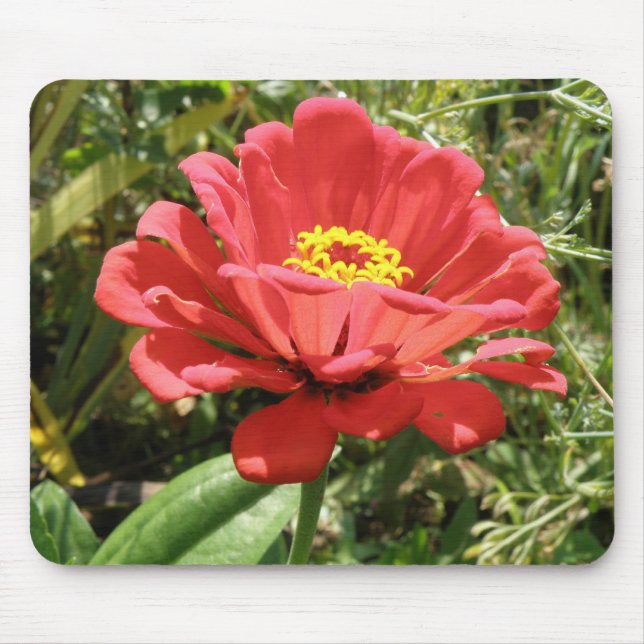 Red Zinnia Mousepad (Front)