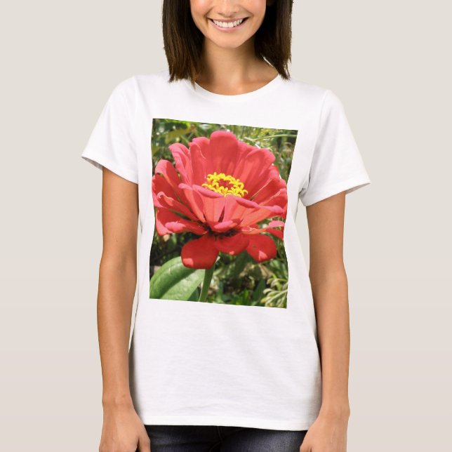 Red Zinnias Ladies T Shirt (Front)