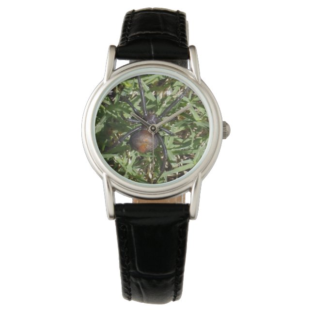 Redback Spider On Green Grass, Watch (Front)