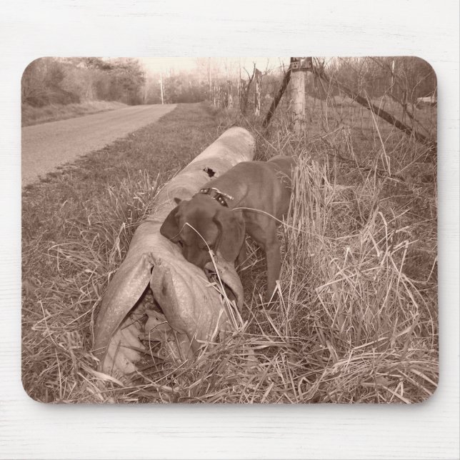 Redbone Coonhound Mousepad (Front)