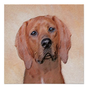 Redbone Coonhound Painting - Cute Original Dog Art Poster